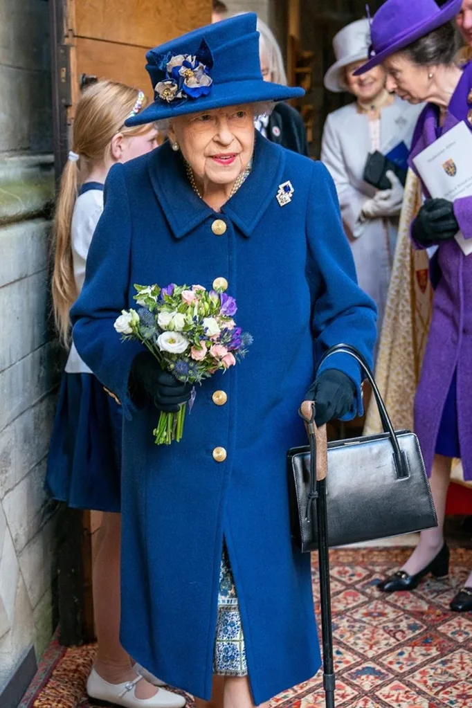 queen blue coat flowers