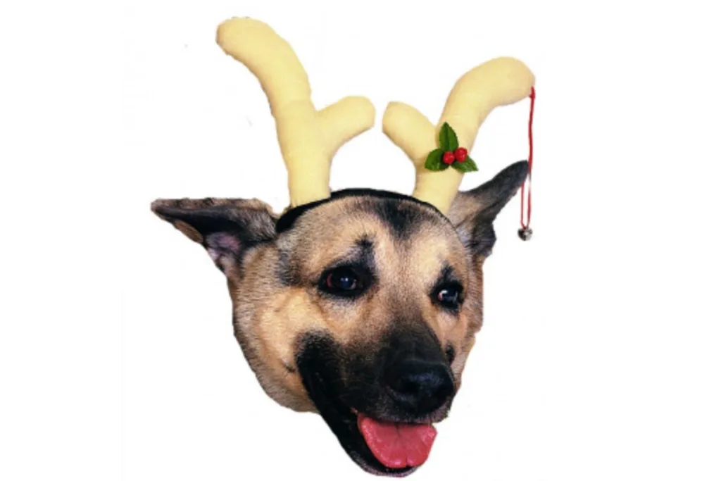 reindeer antlers