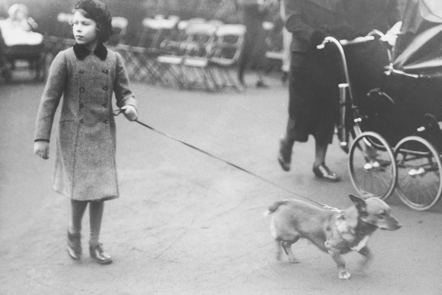 queen elizabeth corgi young