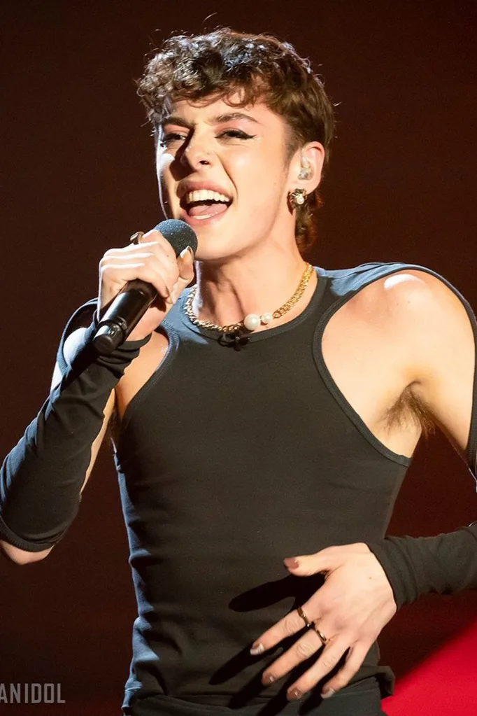 harry-hayden-australian-idol