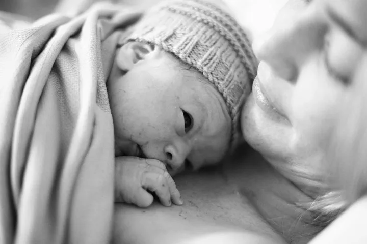 sam forst and son
