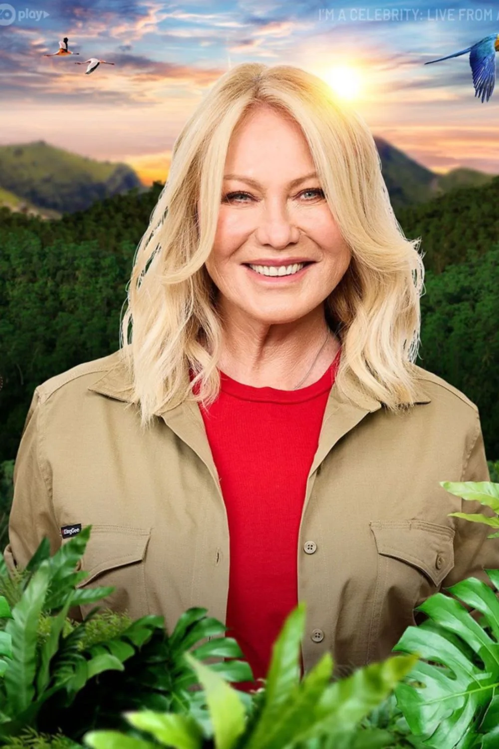 kerri anne kennerley im a celeb