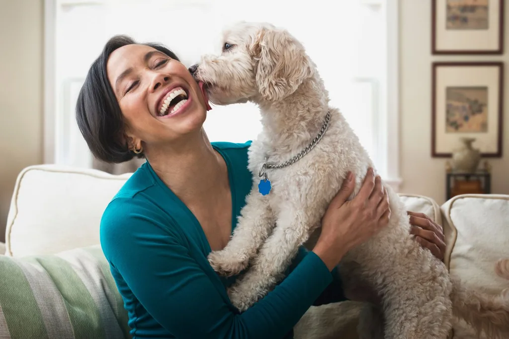 dog-licking-owner-happy