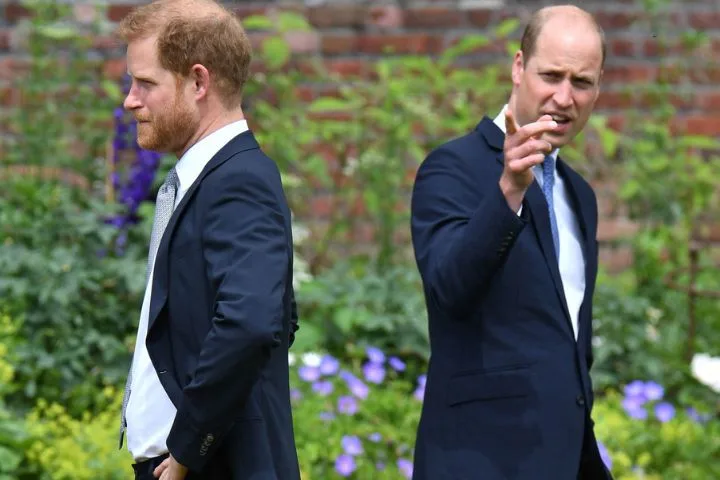 prince-harry-william