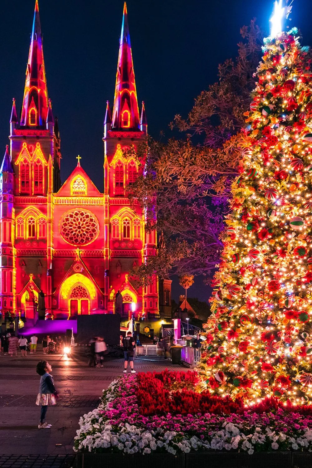 Christmas light display Sydney St Mary's Cathedral