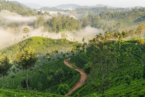 Sri Lanka, Southern Highlands.