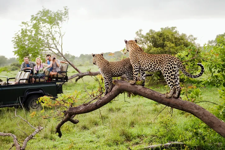 Kruger National Park, South Africa.