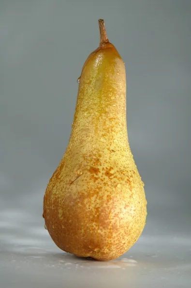 Pear