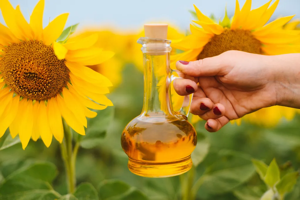 sunflower oil