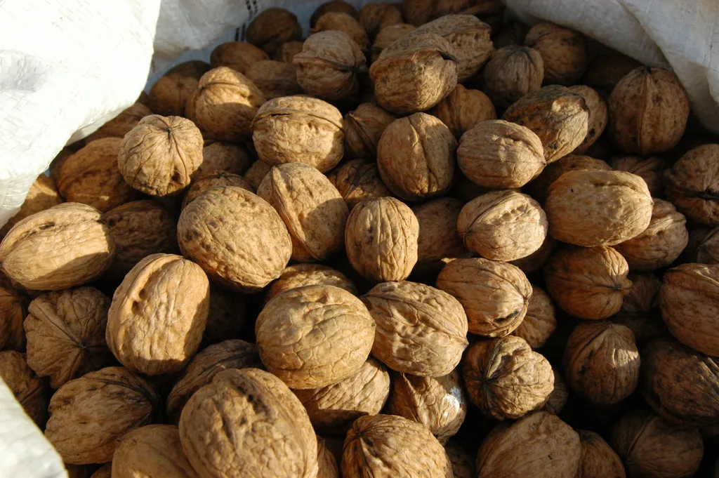 Walnuts