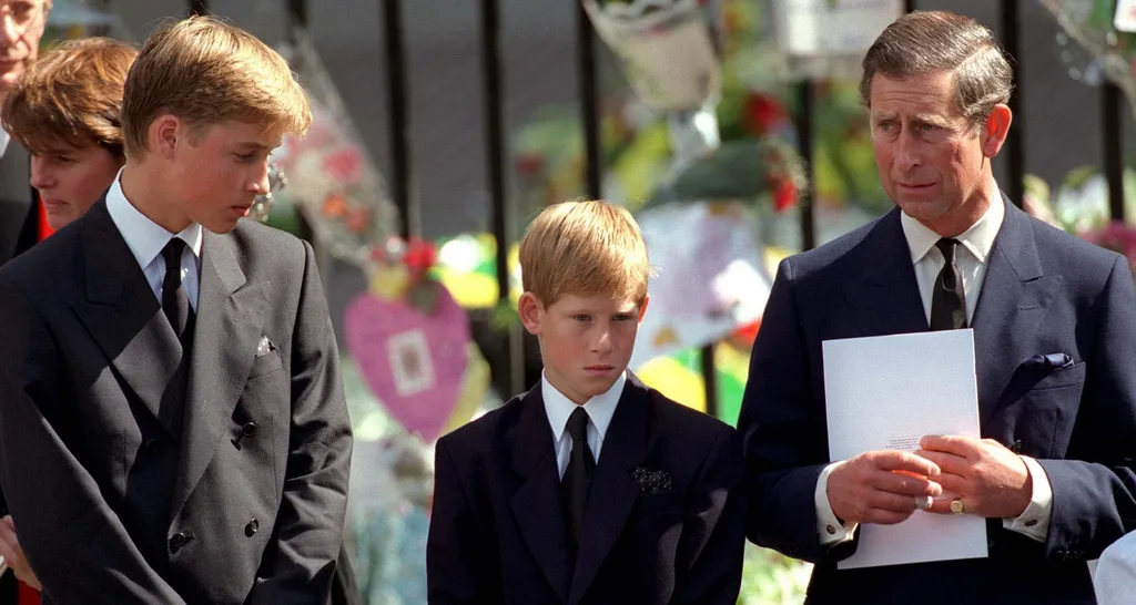 Prince William and Harry attend their mothers funeral