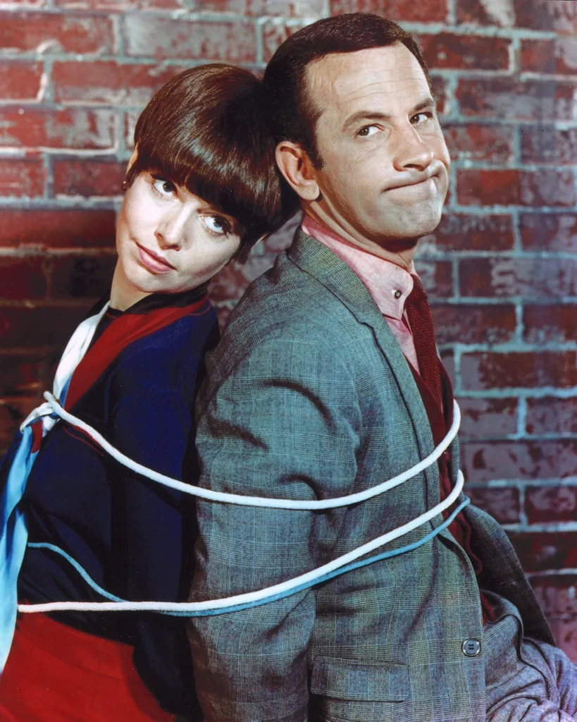 Get Smart Agent 99 Barbara Feldon