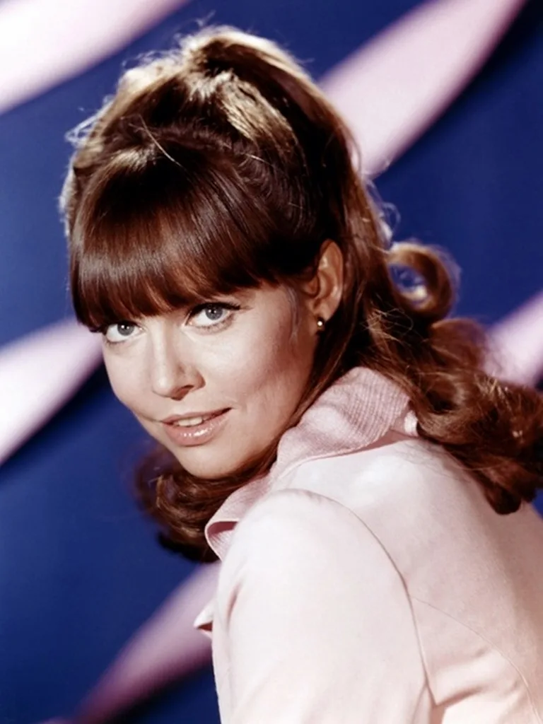 Get Smart Agent 99 Barbara Feldon