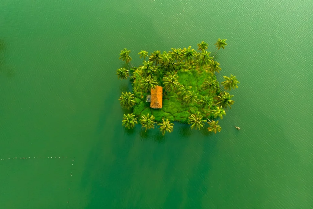 Island with palm trees surrounded by green ocean