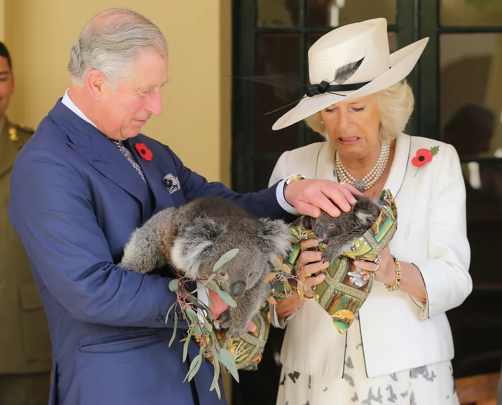 camilla duchess of cornwall