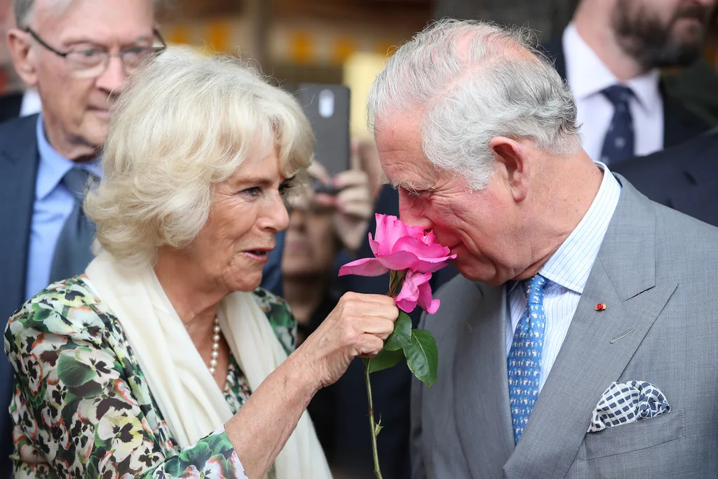 charles camilla