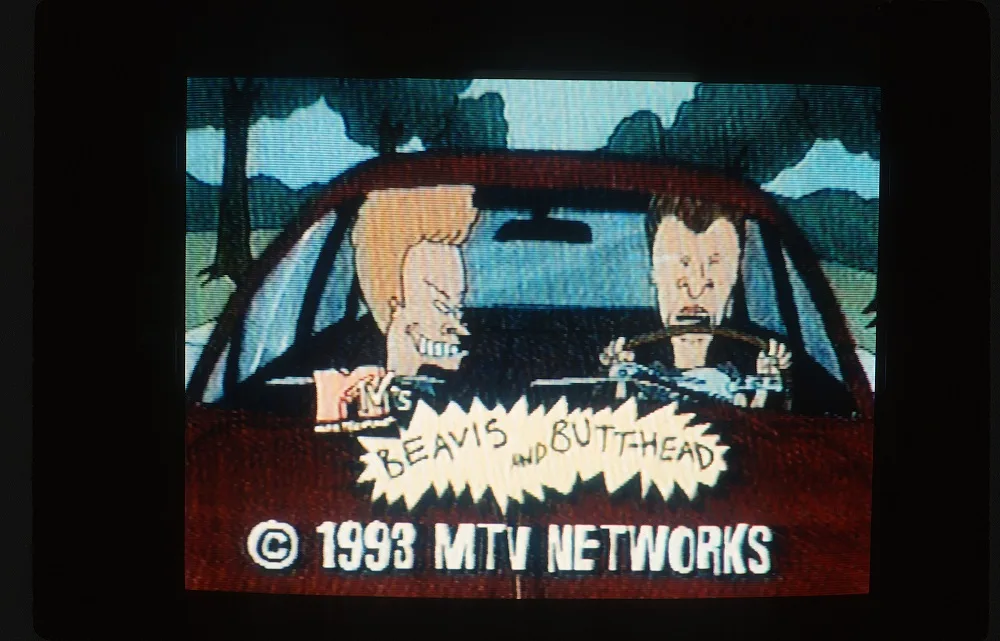 Beavis