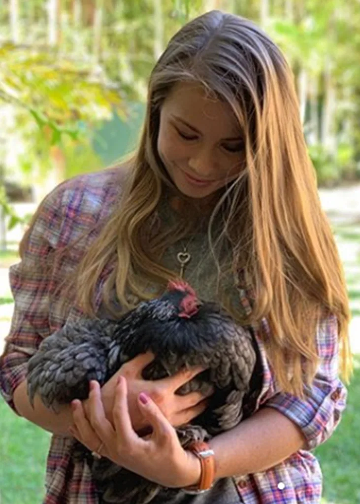 Bindi Irwin pet chicken dies