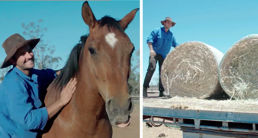 Farmer Wants A Wife 2019 farmers