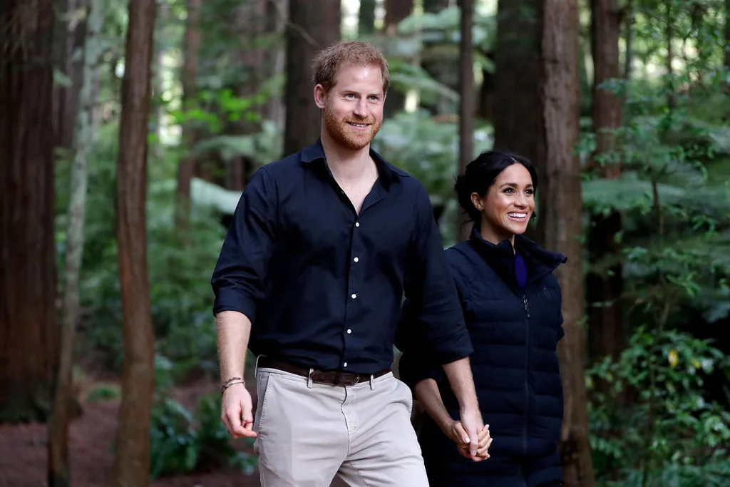 Harry and Meghan and Archie