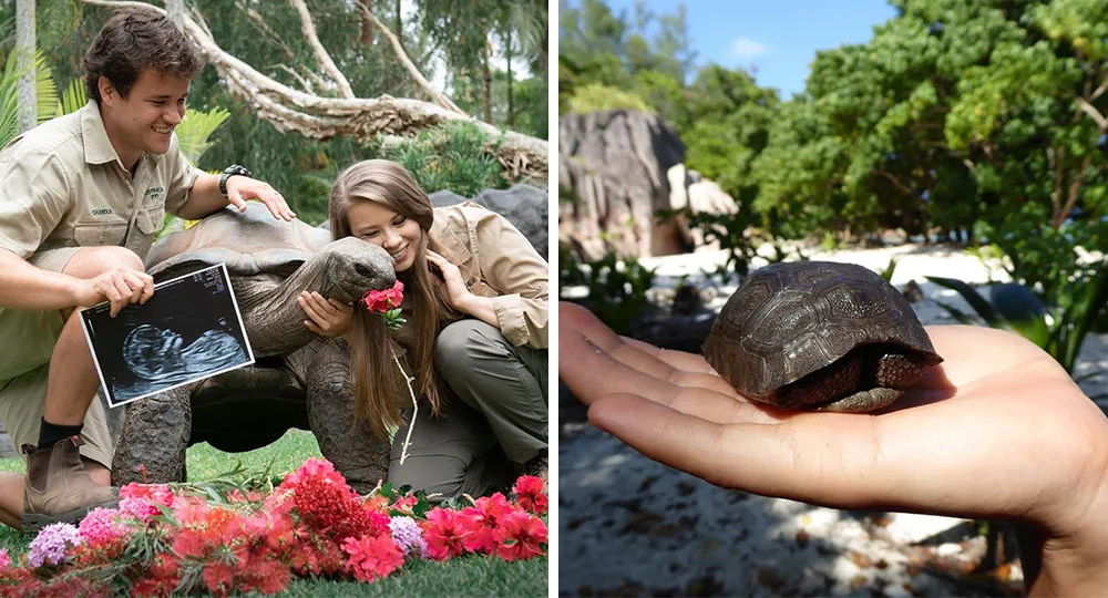 Bindi Irwin