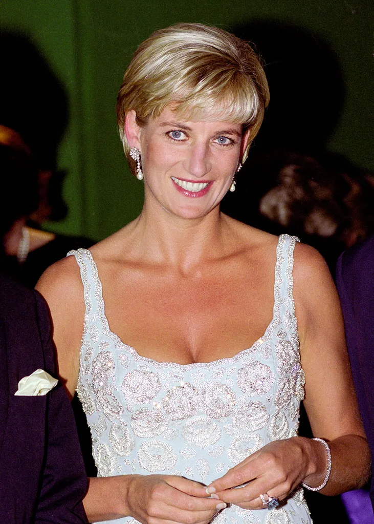 Harry and William Princess Diana feud