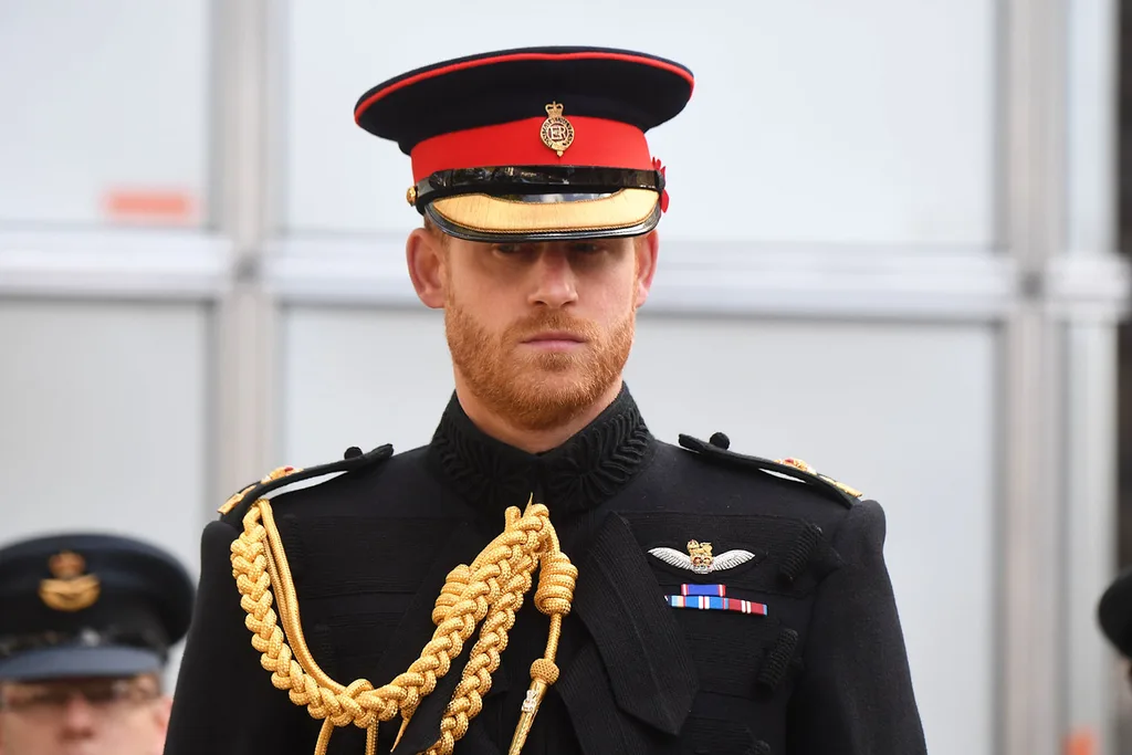 Prince Harry Remembrance Day snub