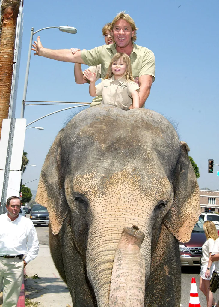 Steve Irwin movie Nicole Kidman