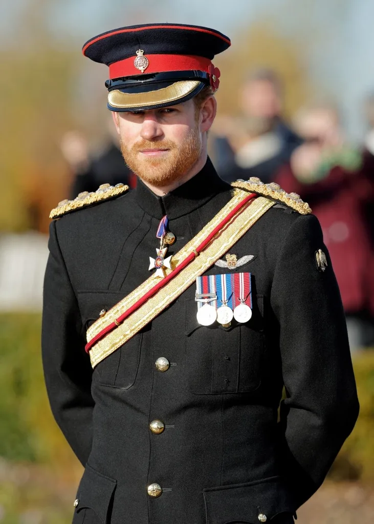 prince harry new role