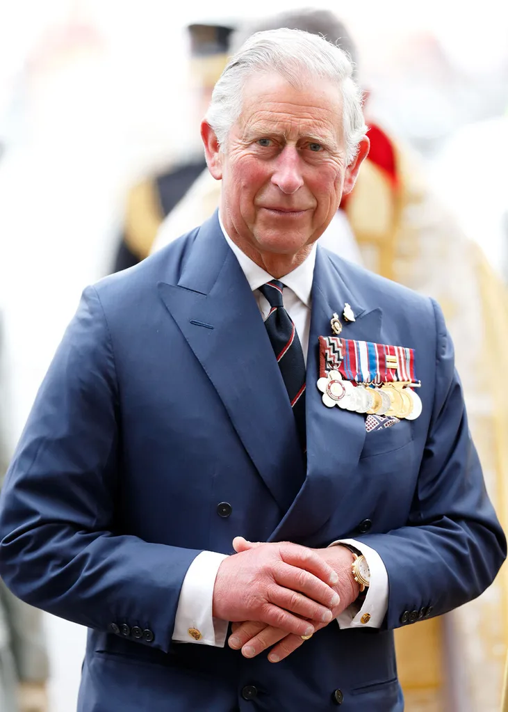 Prince Charles backlash Prince Harry claims