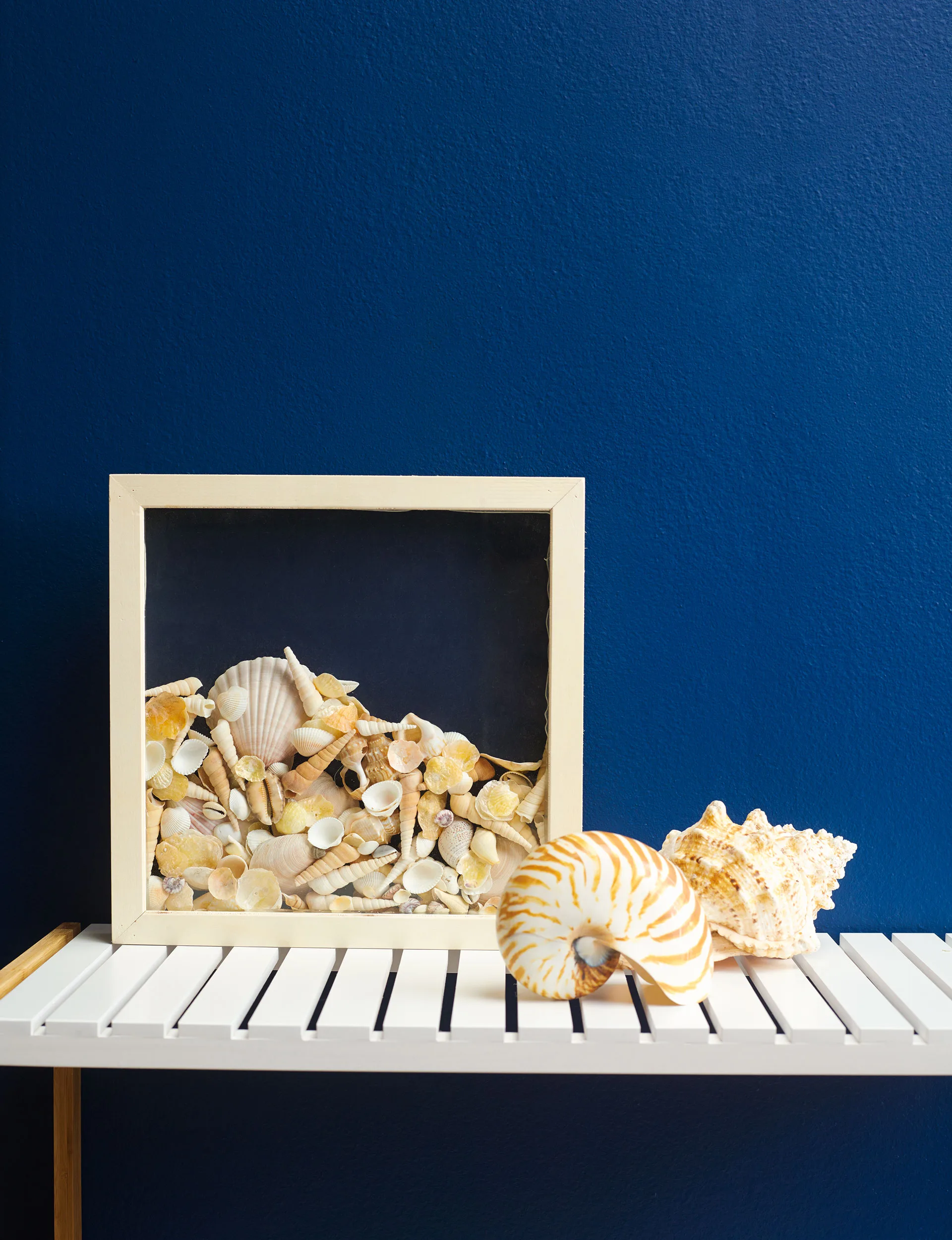 FOURWAYS_SHELLS_2