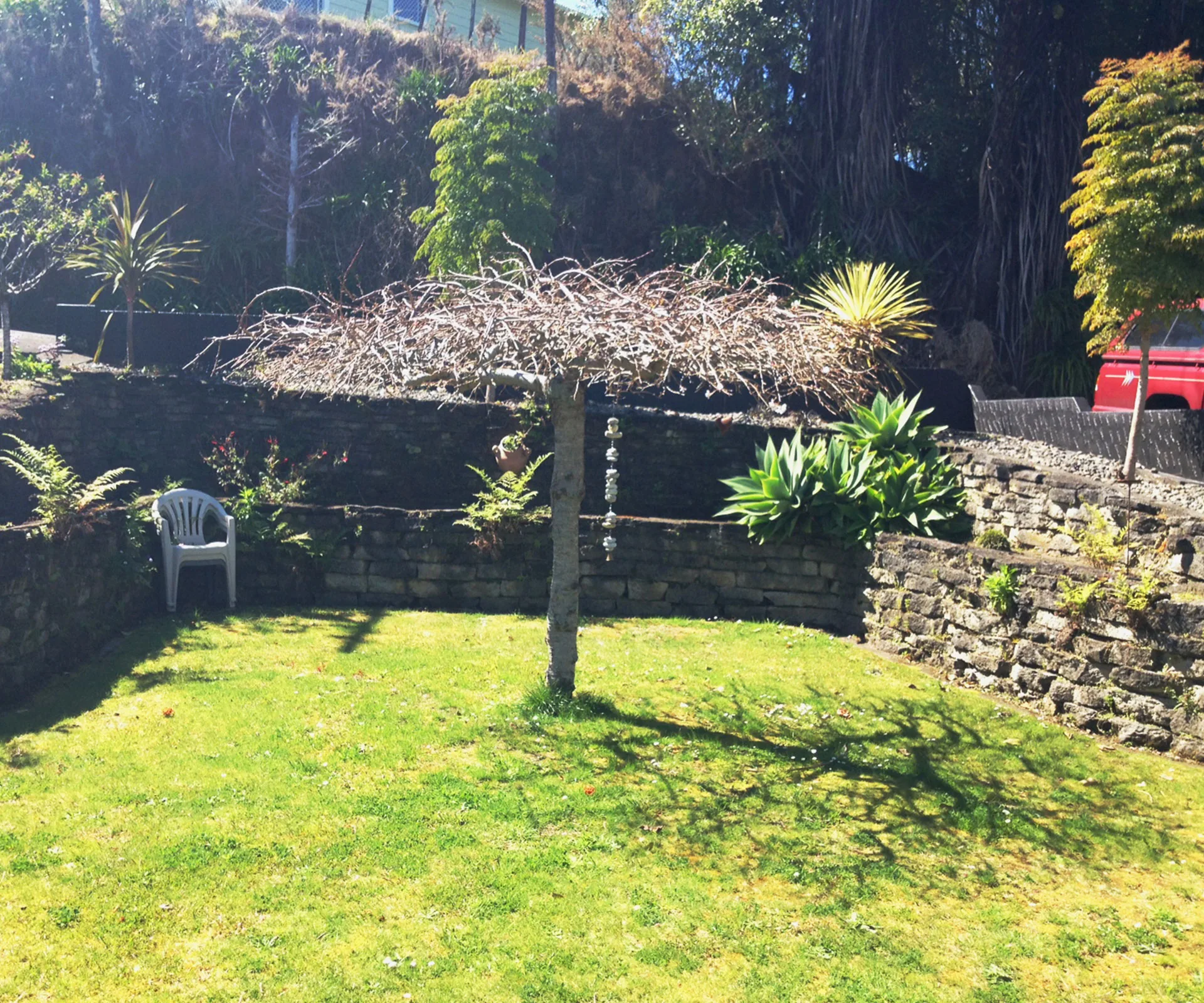 Garden before photo
