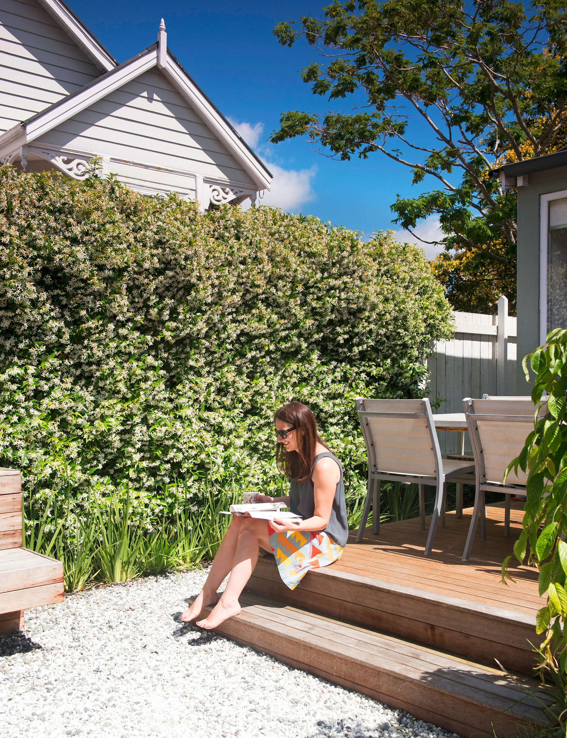 The designer suggested adding more star jasmine to create rapid coverage of the fence.