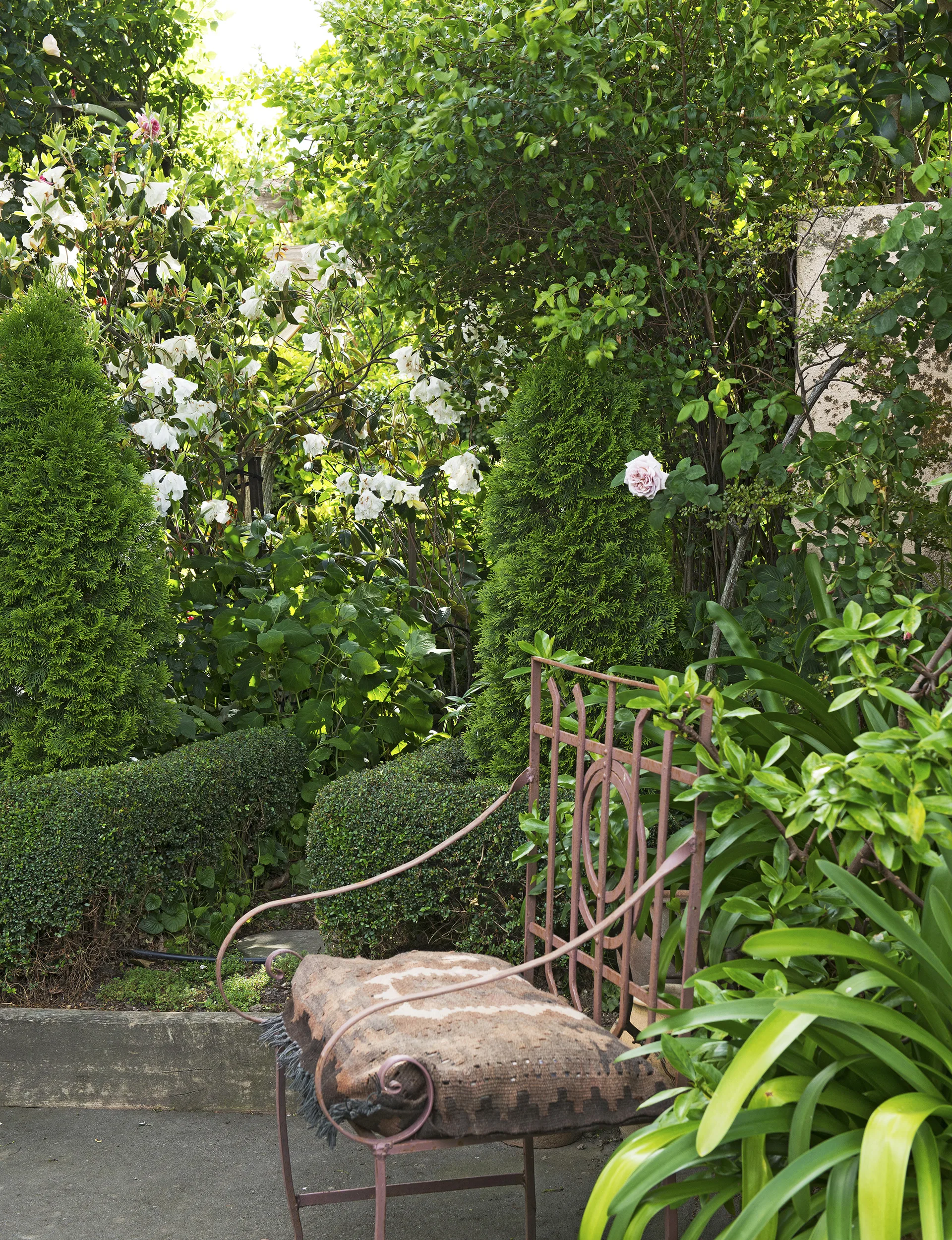 YH0115_GDN_GDNMain__DSC4303