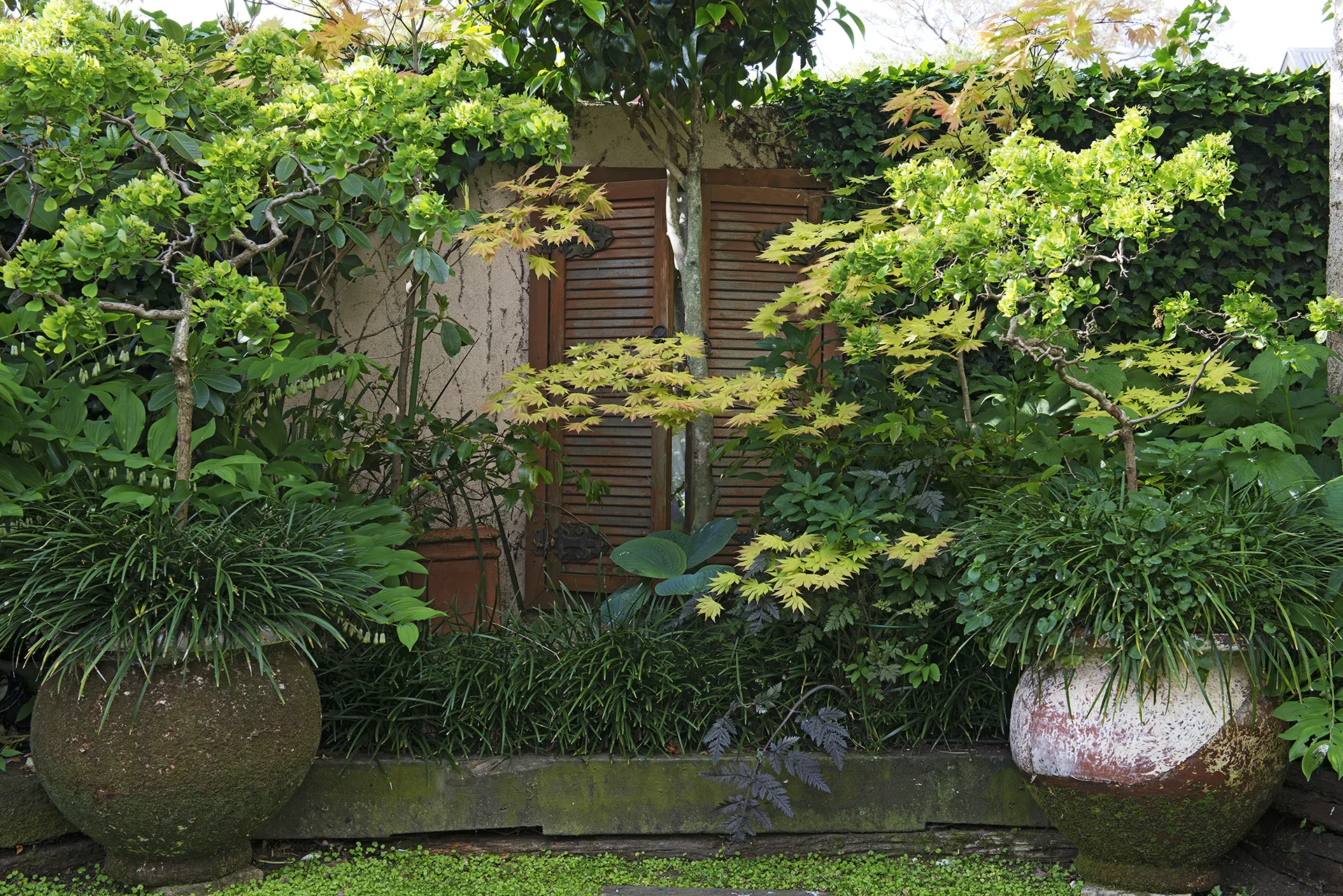 YH0115_GDN_GDNMain__DSC4314