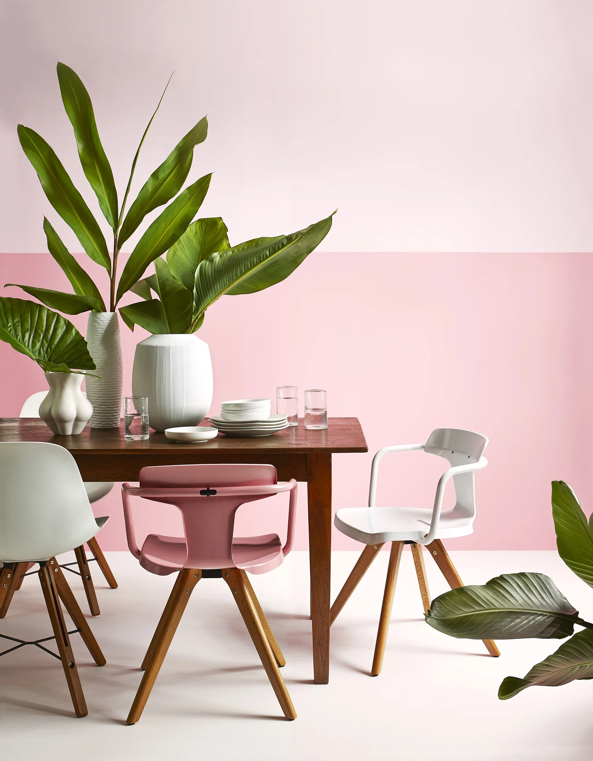 YH0416_SHPTrendShoot_7979_PlantsOnPink271