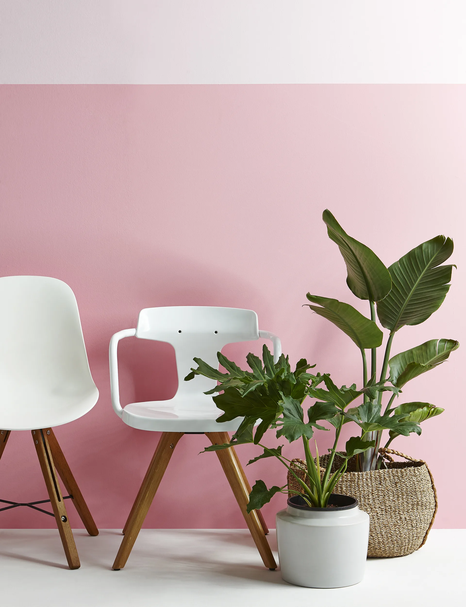 YH0416_SHPTrendShoot_7979_PlantsOnPinkDetail2284