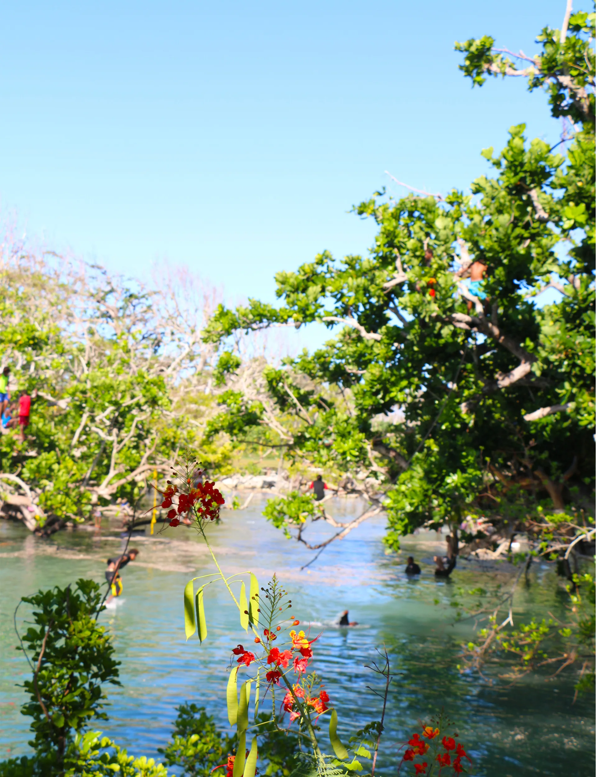 Blue-Lagoon