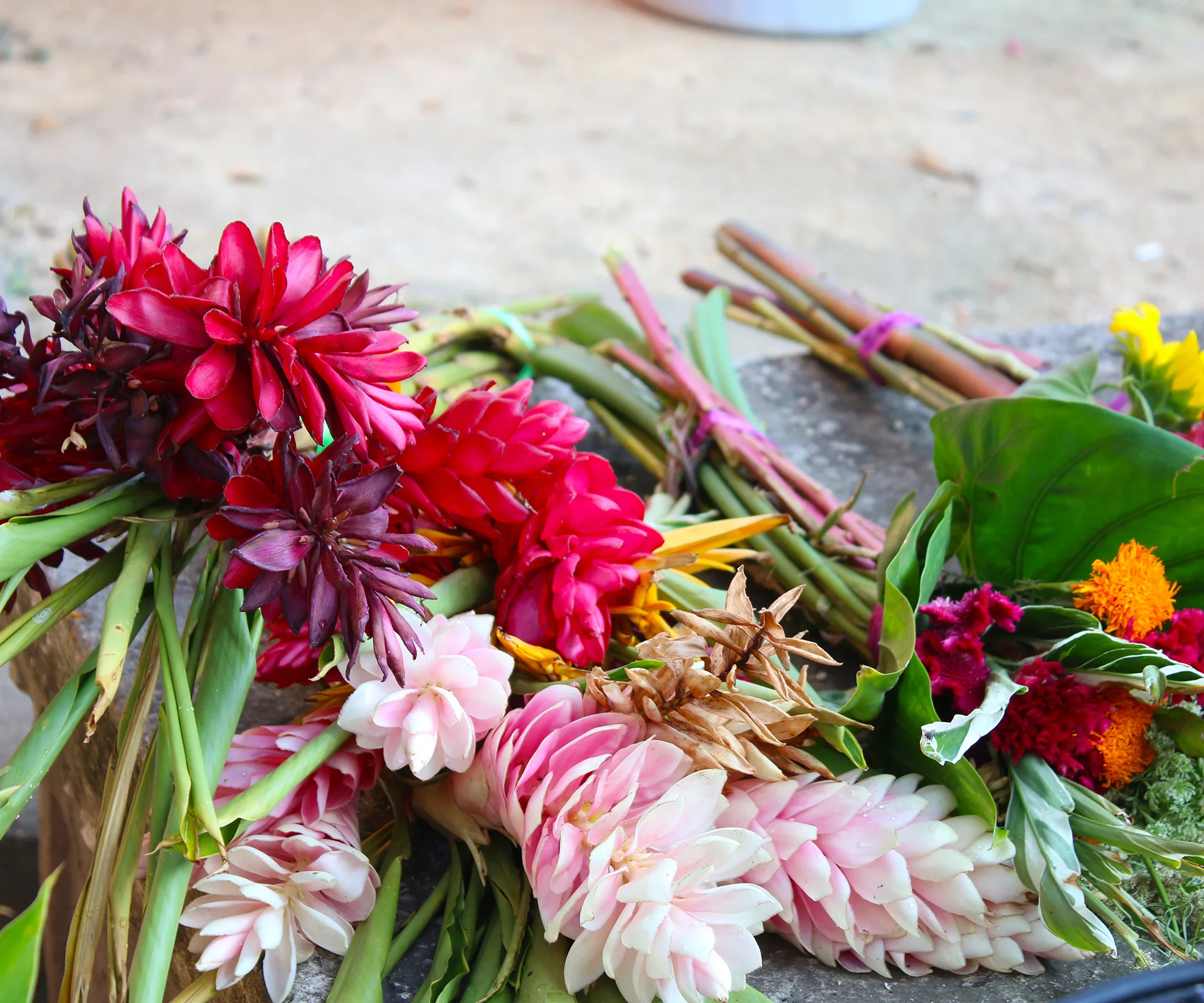 MarketsIMG_0980