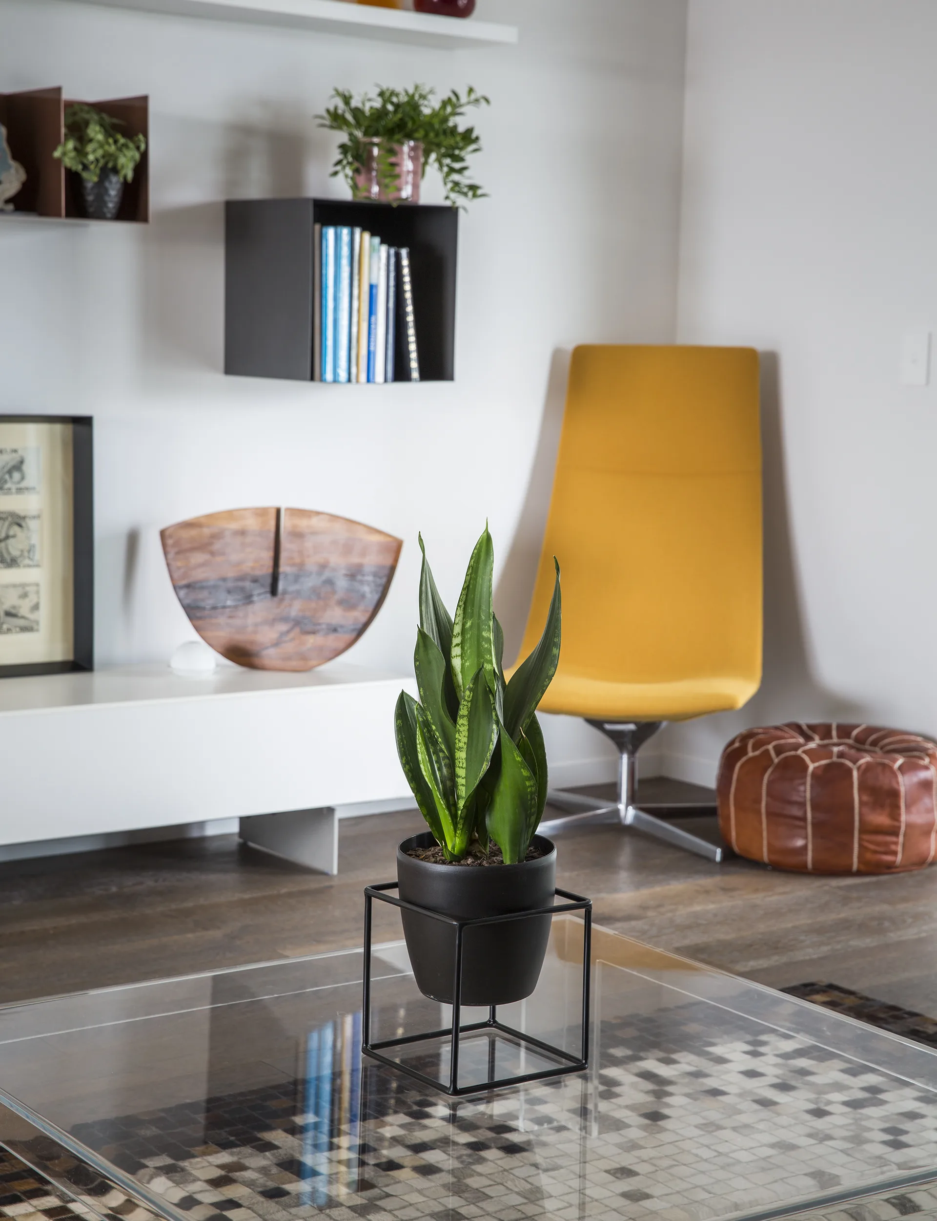 YH0616_GDN_indoorplants_YHG1604SweeneyHome_4901