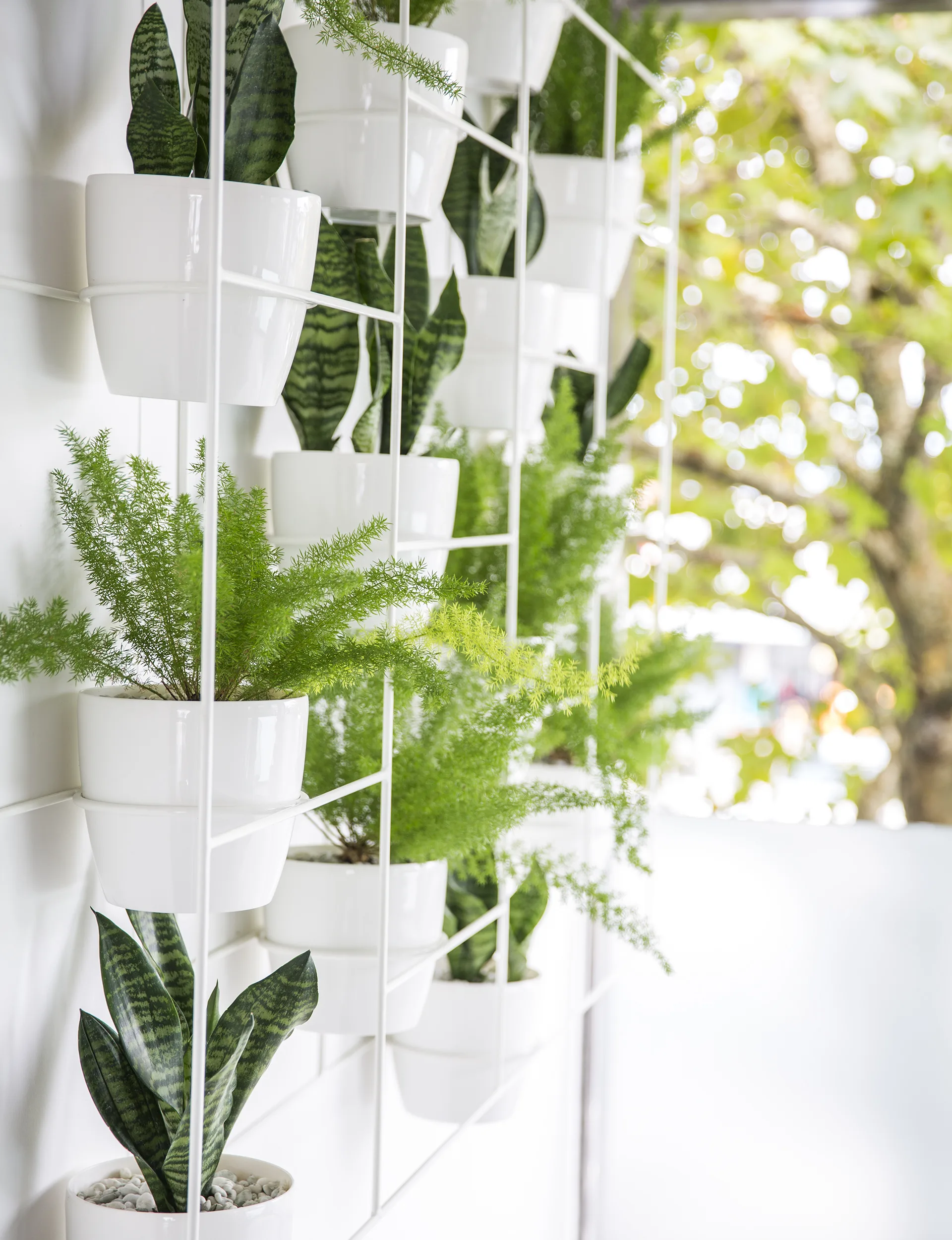 YH0616_GDN_indoorplants_YHG1604SweeneyHome_4906
