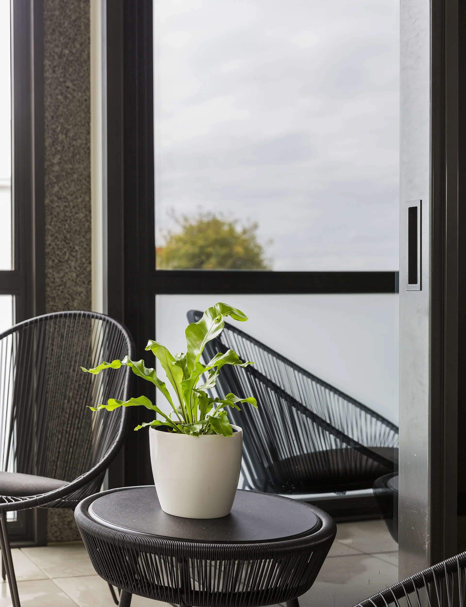 YH0616_GDN_indoorplants_YHG1604SweeneyHome_4931