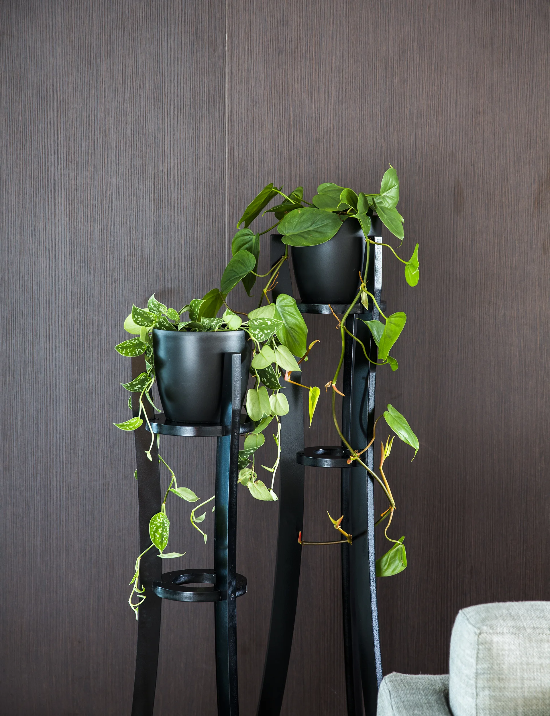 YH0616_GDN_indoorplants_YHG1604SweeneyHome_4941