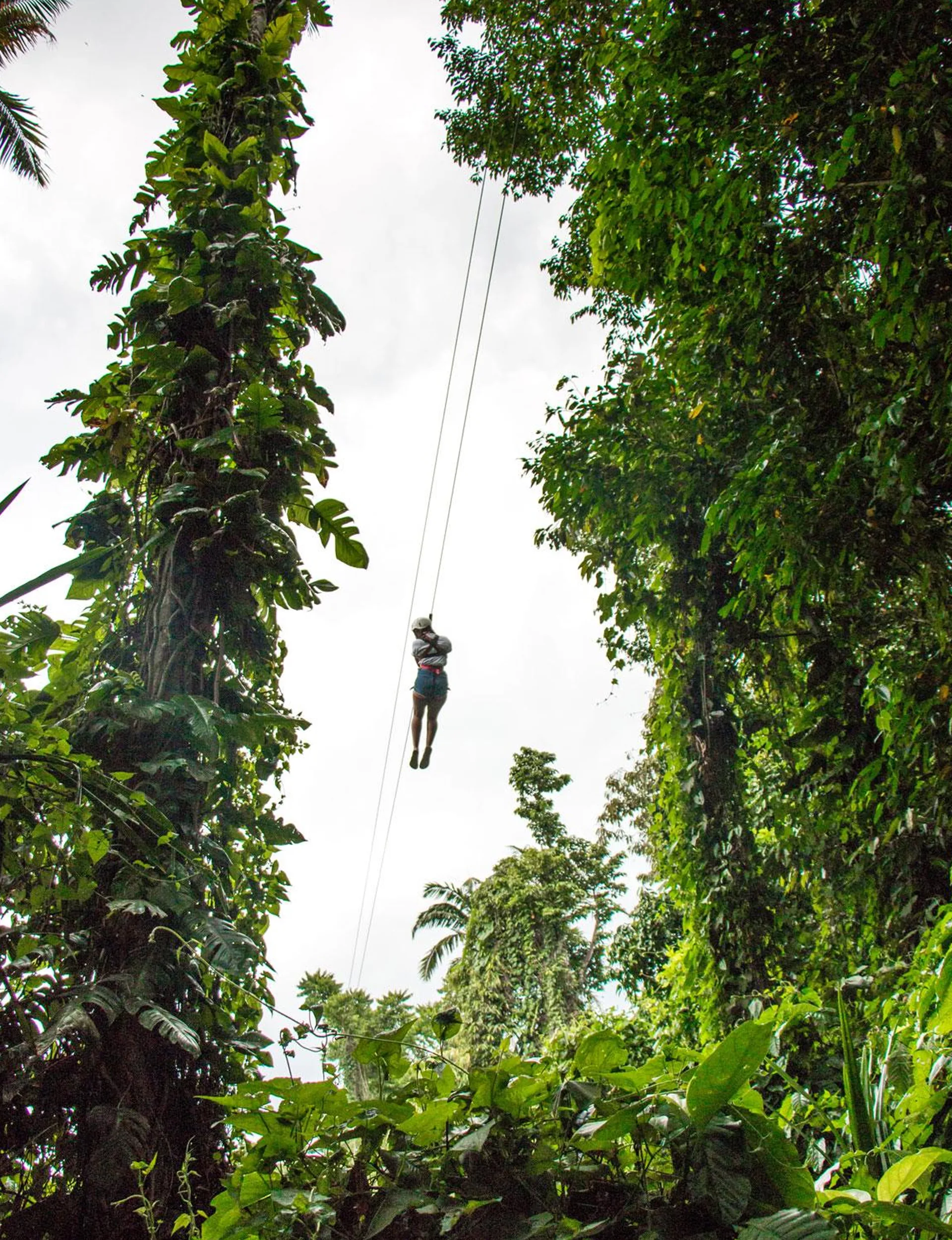 Zipline