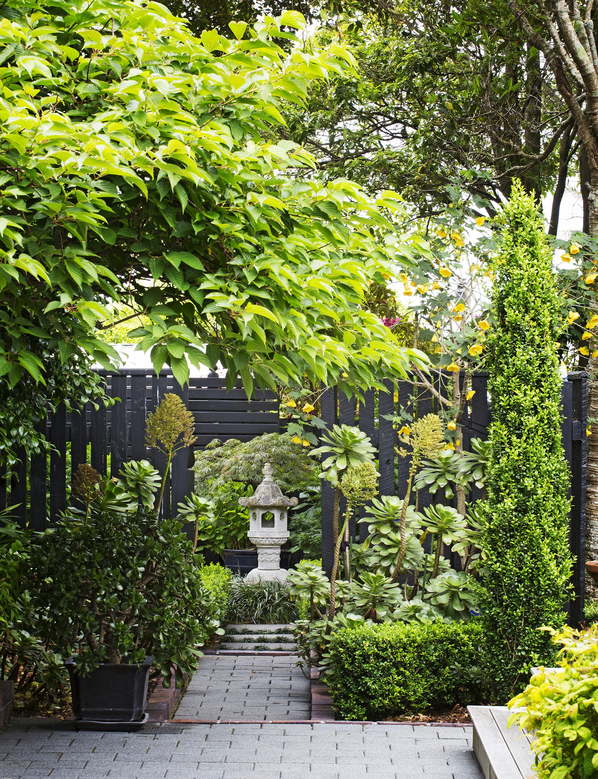 YH0816_GDN_Main_McCallum_IMG_2854
