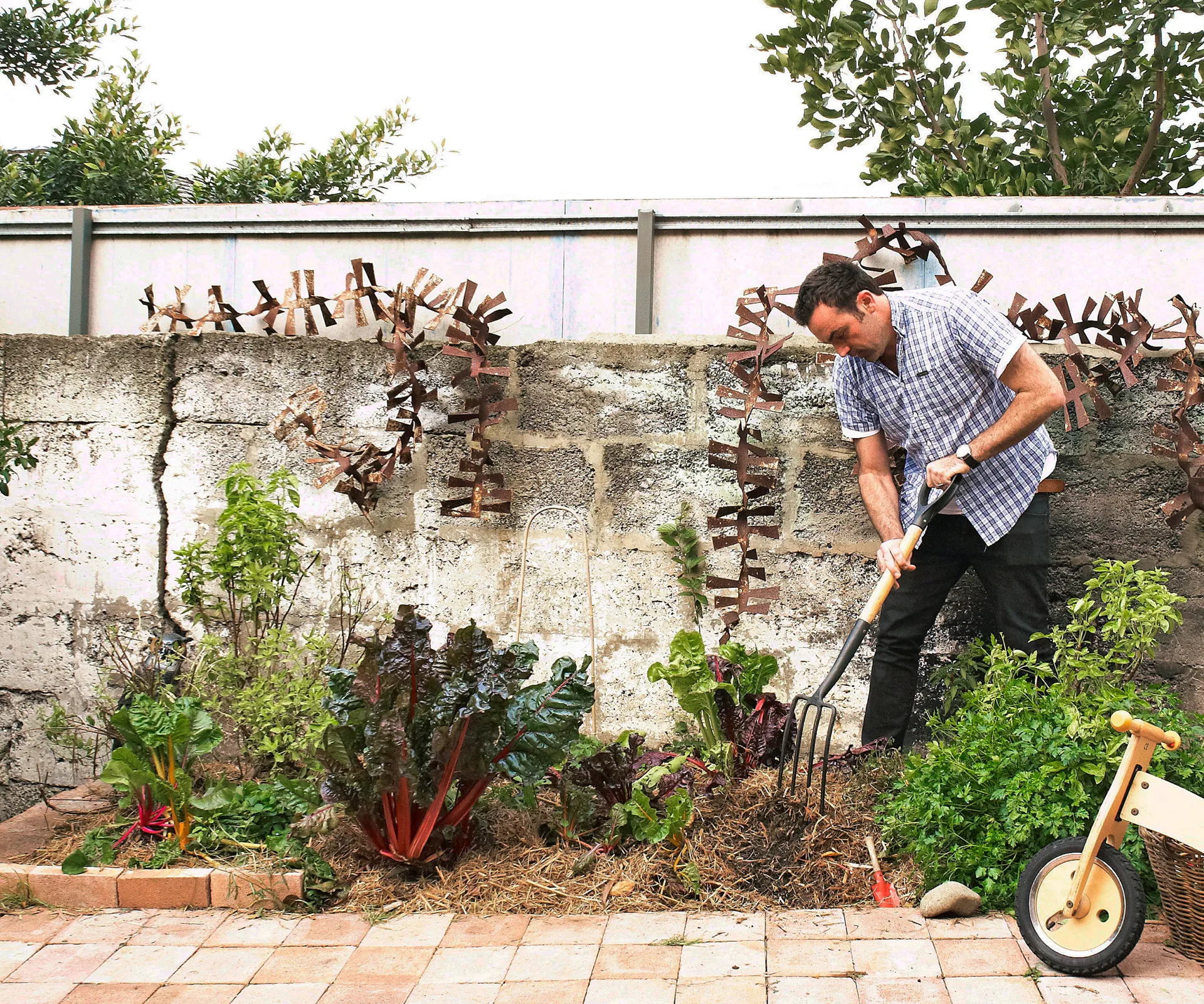 kitchen-garden