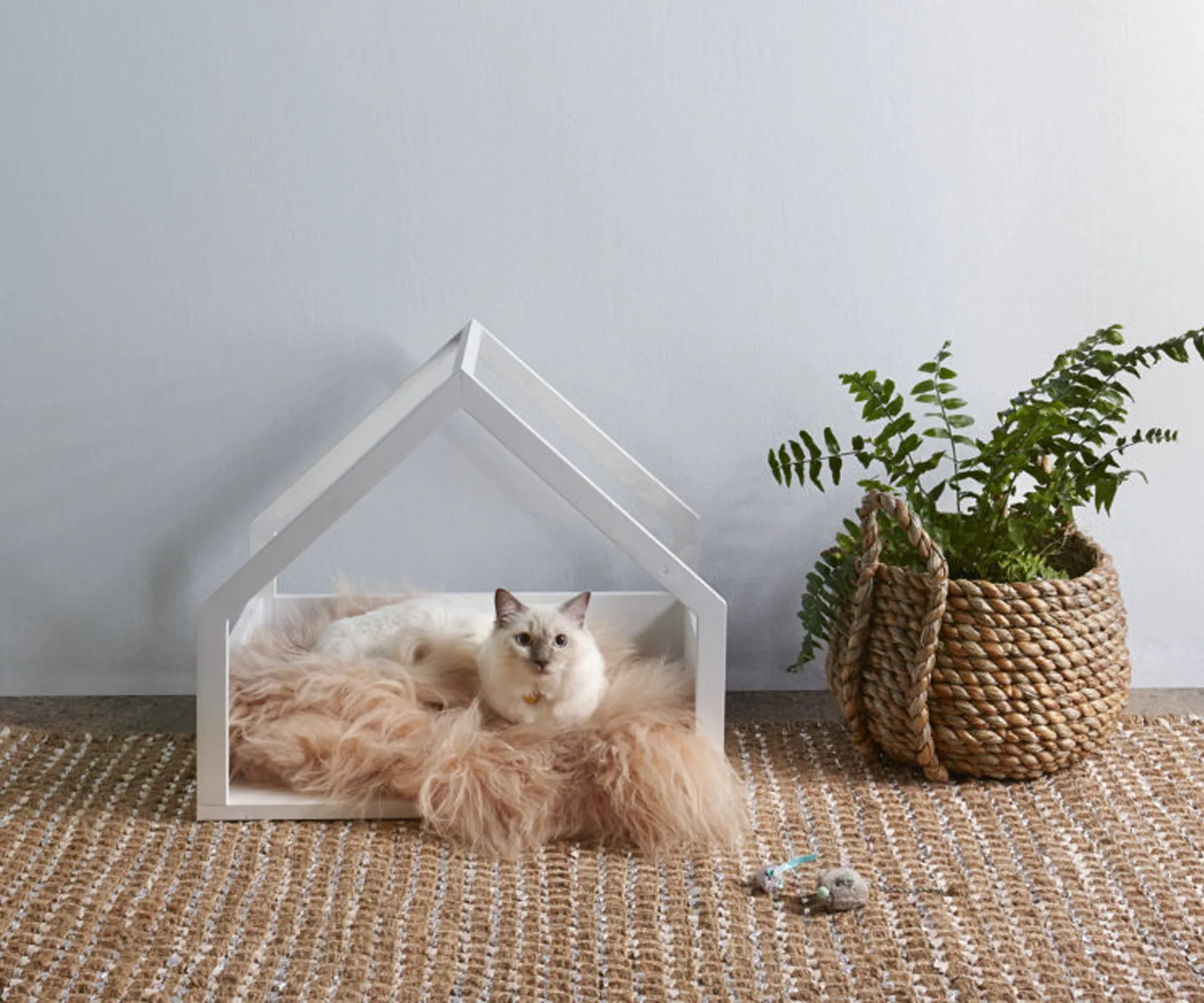 pet-bed