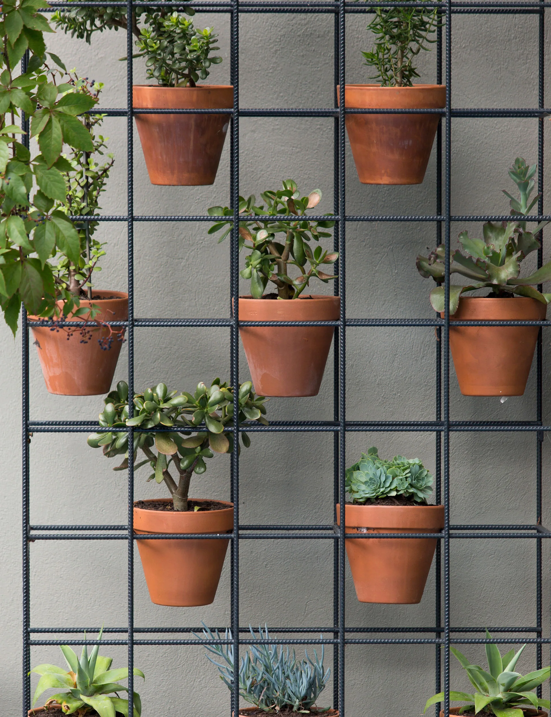 plantWall