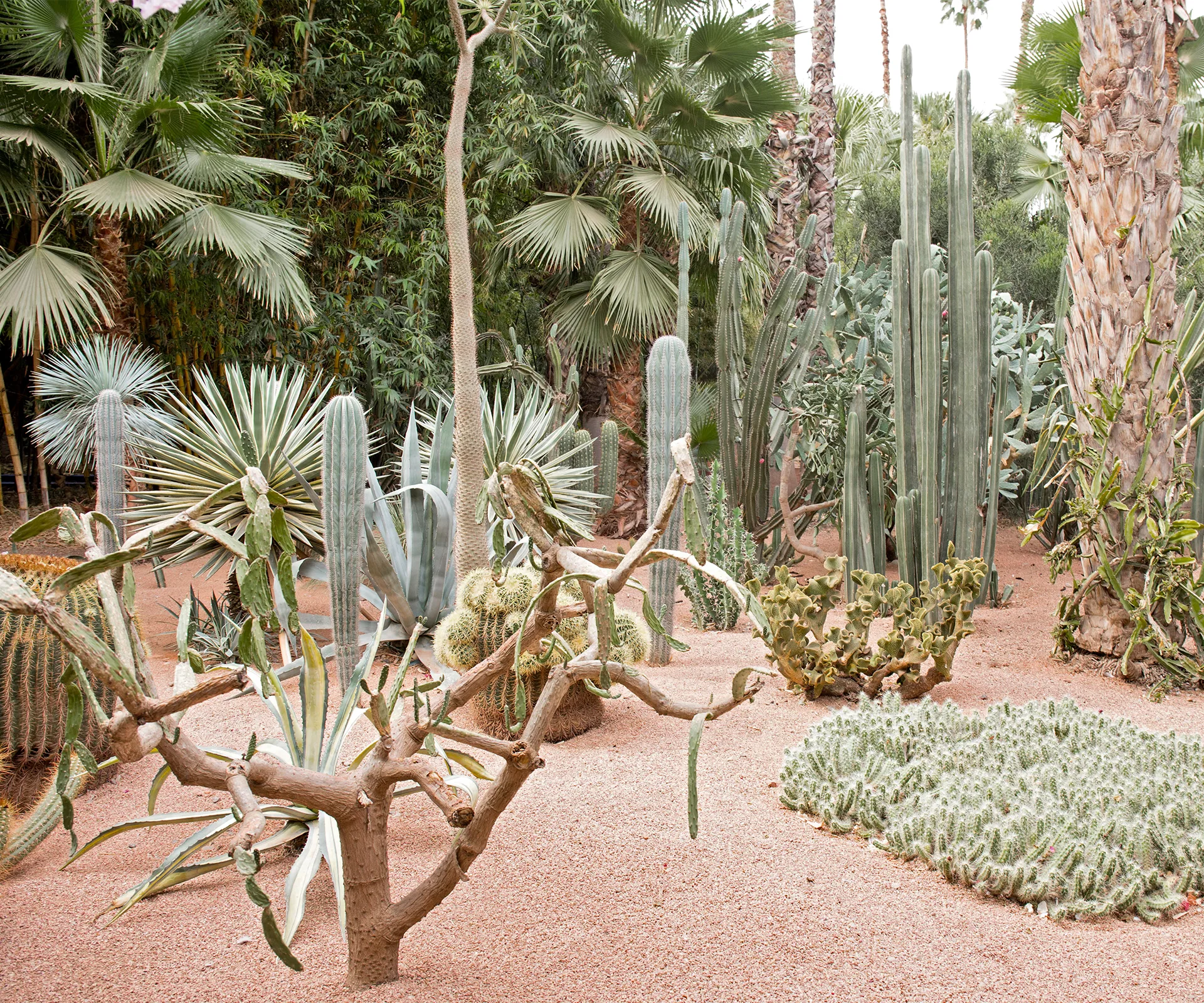 Jardin-Marjorelle