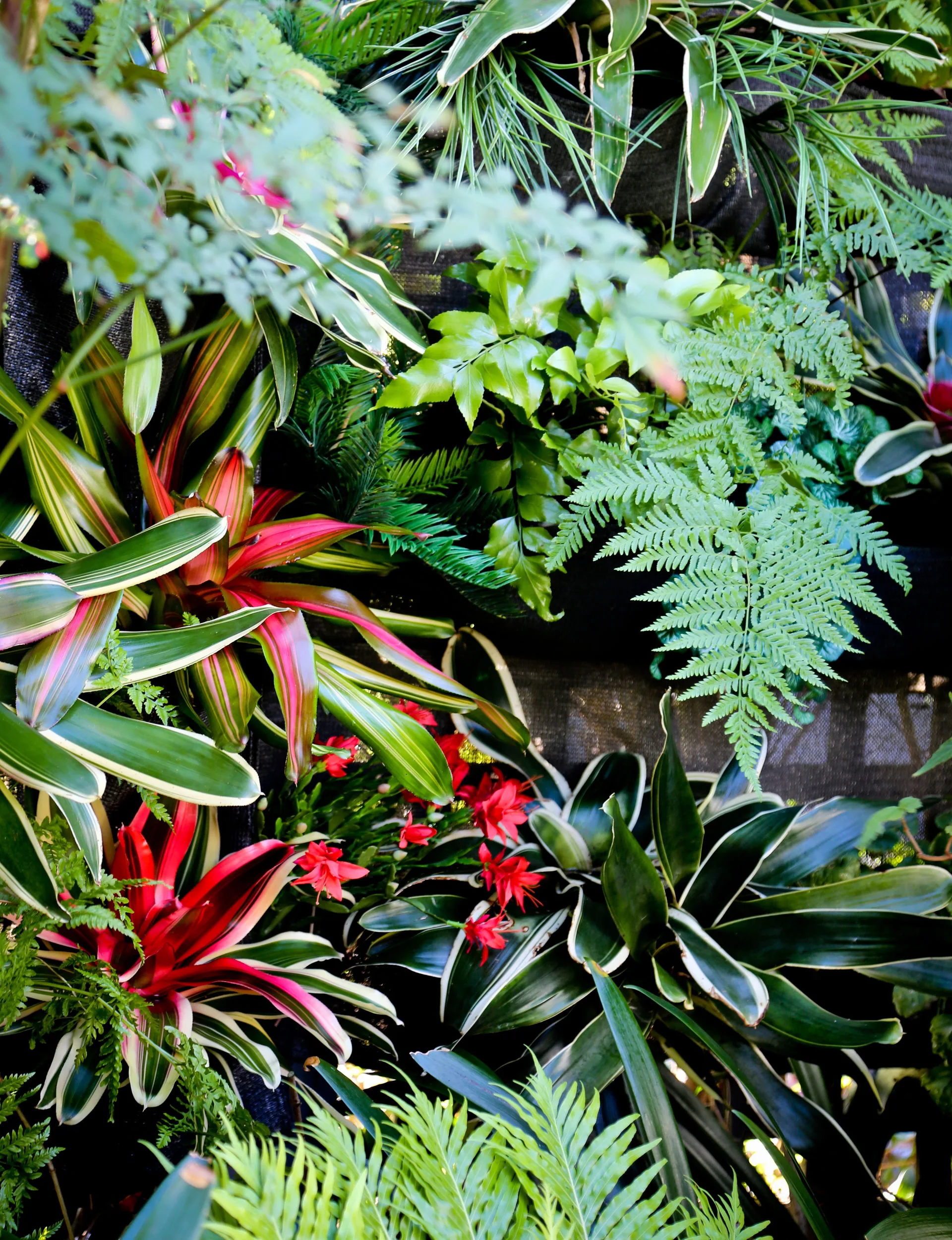 livingWall1
